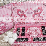 Christian Dior Rouge Set Pink Dragon